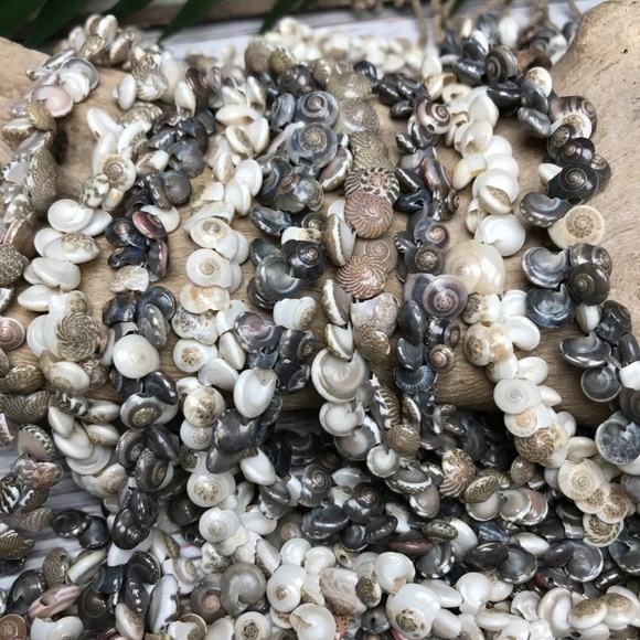 100+ Pcs Real Button TOP Seashells Beads Mixed Lot Jewelry Making DIY Shells - Picture 6 of 12